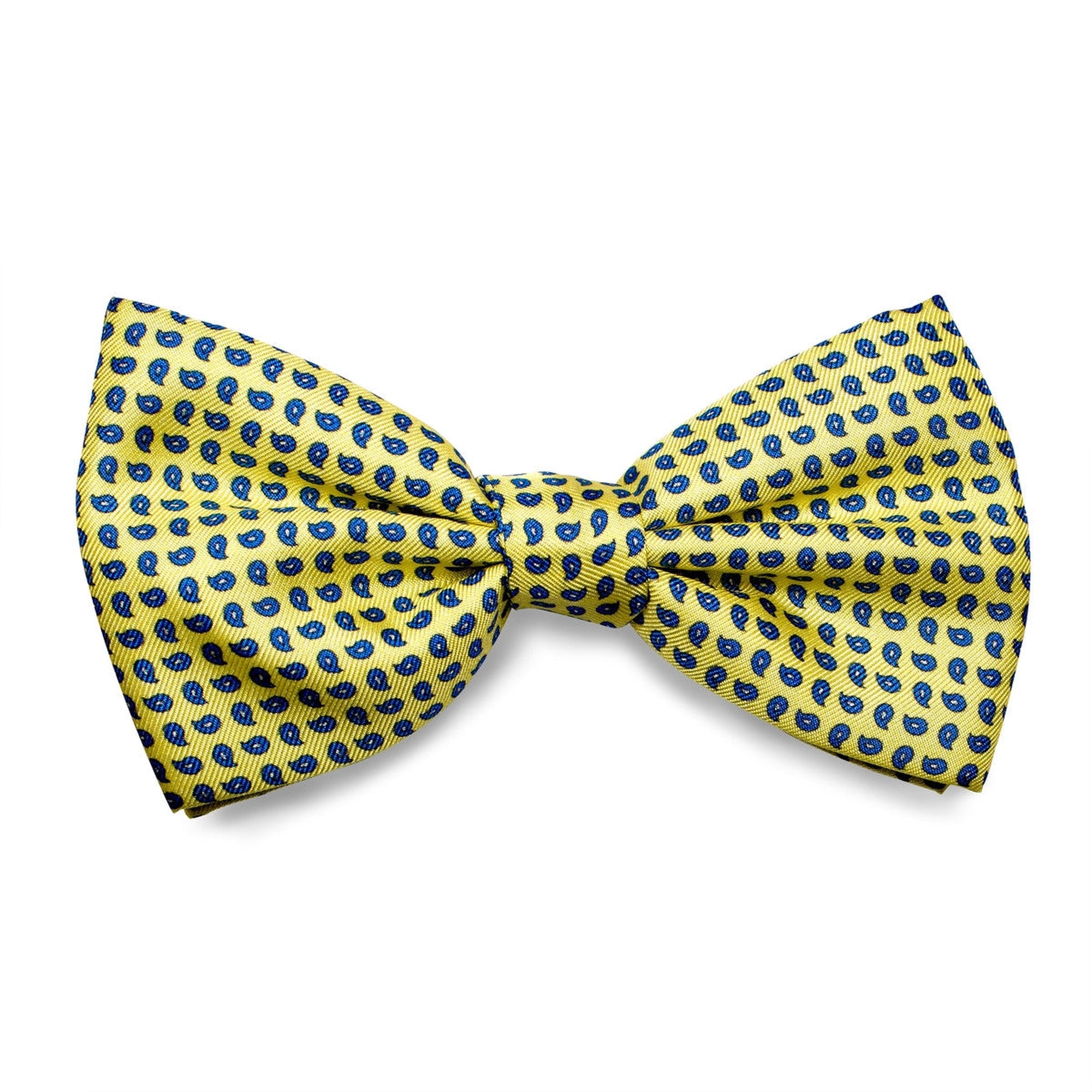 Pre-Tied Yellow Bow Tie with Blue Paisley-Bow Ties-Andrew's Ties-Cufflinks.com.sg